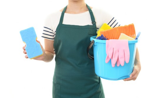 Professional oven cleaning in Docklands kitchen interior