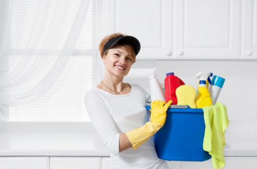 Professional sofa cleaning in Docklands living room