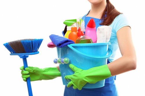 Carpet stain treatment and deep cleaning in Docklands