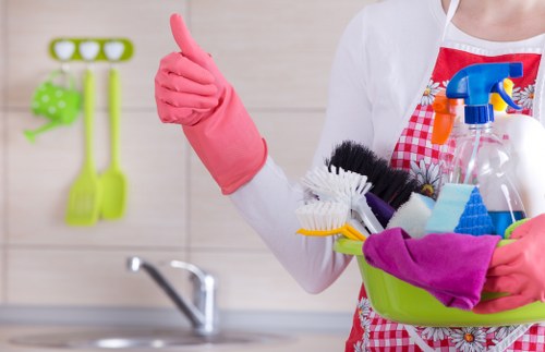 Eco-friendly cleaning service in Docklands interior