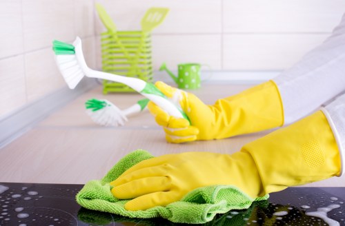 Technician carrying out a carpet cleaning risk assessment