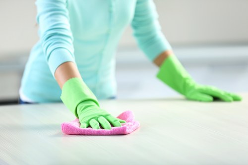 Deep cleaning service in a Docklands kitchen and bathroom