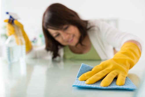 Deep cleaning equipment used on a rug in Docklands