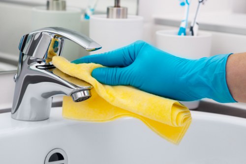 Cleaning technician carrying out carpet care during a booked appointment
