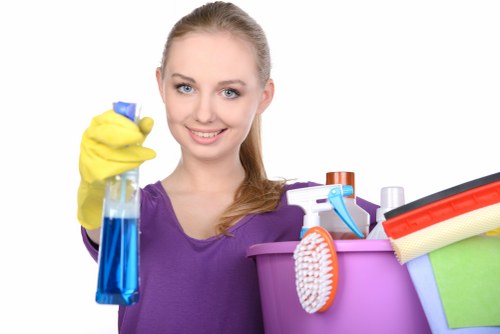 Bathroom cleaning setup in a Docklands home
