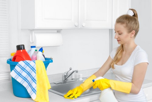 Technician performing detailed oven cleaning in Docklands